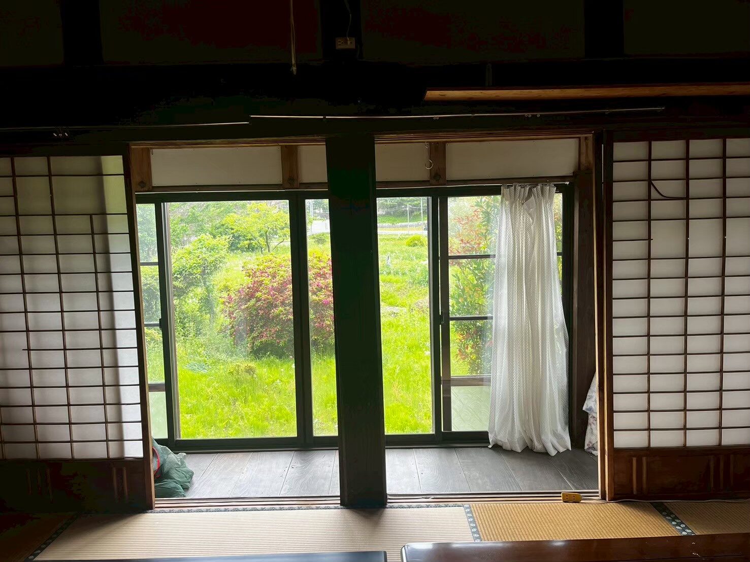 縁側の先に、のびのび遊べるみどりの庭。