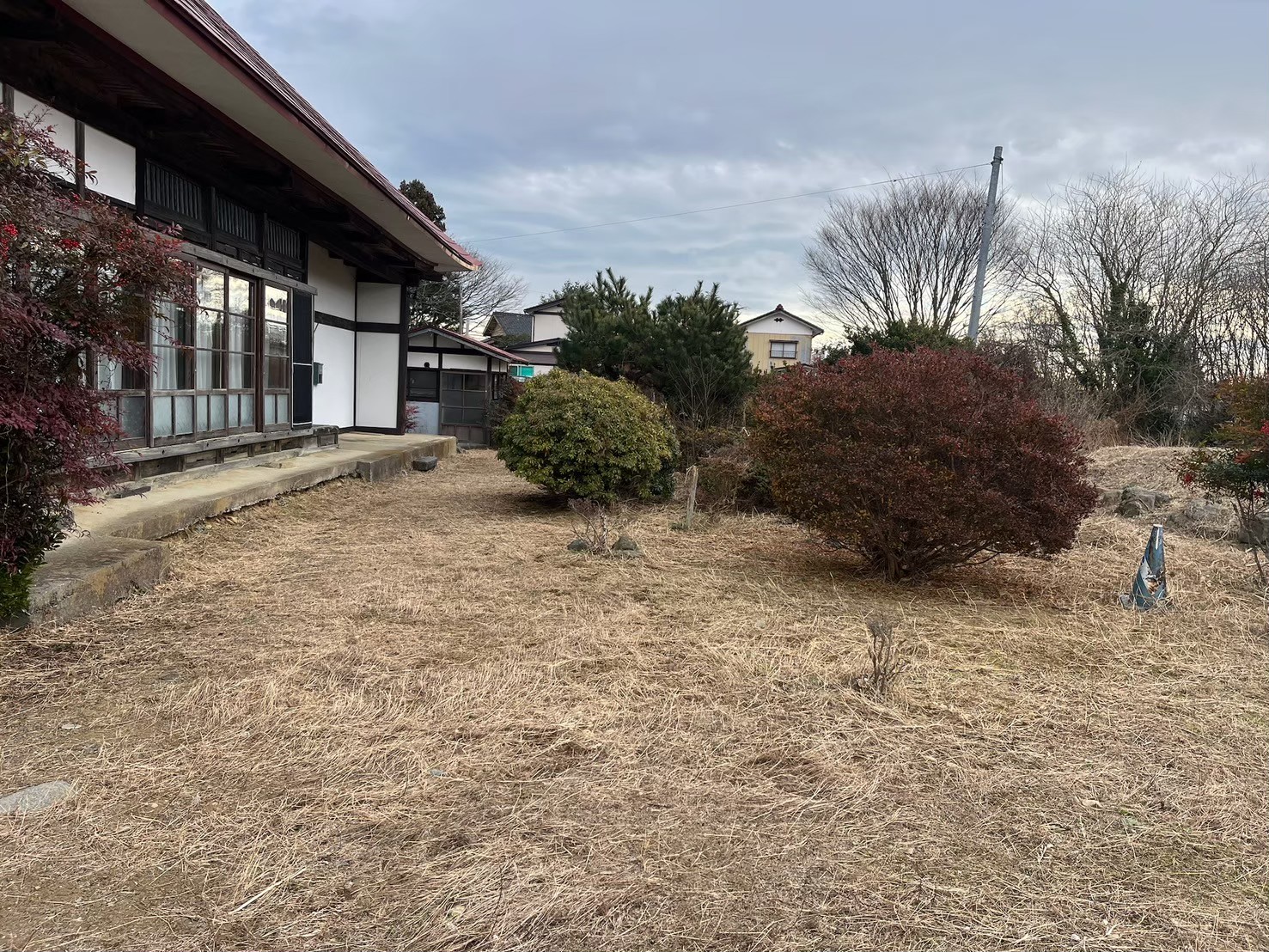 庭と外観