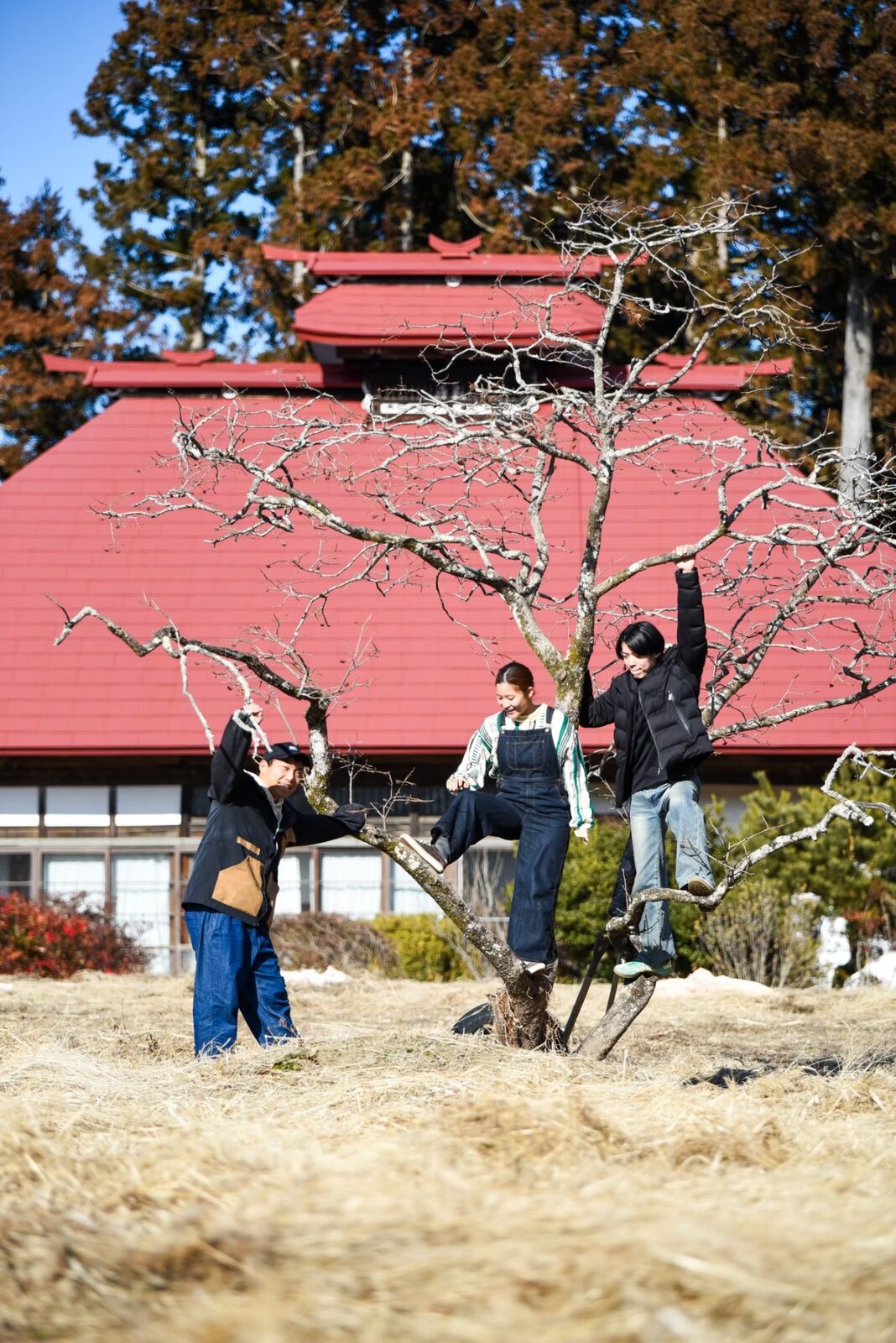 柿の木のそばに集まる、ヒビノクラシを営む3人