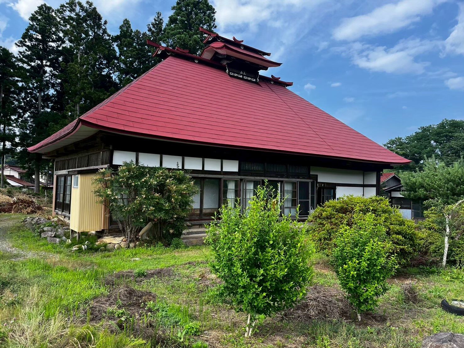 原っぱのような庭